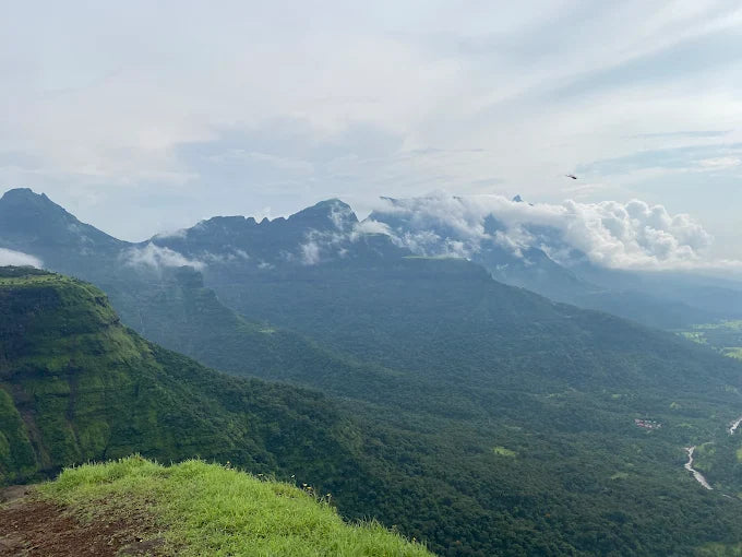 Aadrai Forest