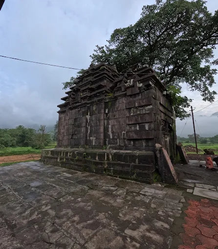 Aadrai Forest