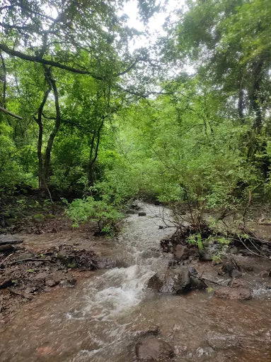 Devkund