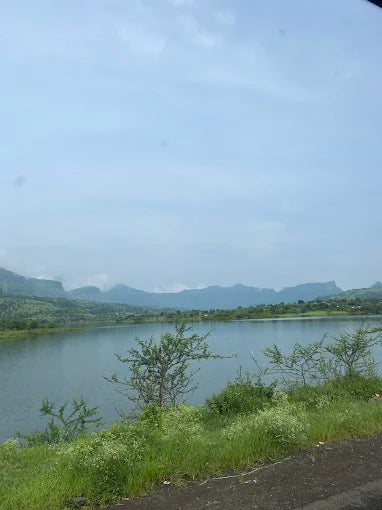 Aadrai Forest