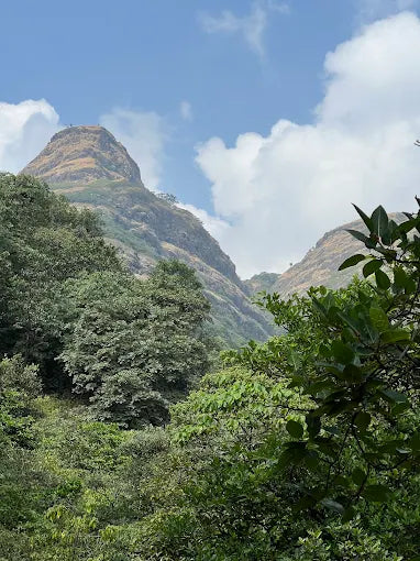 Andharban Trek