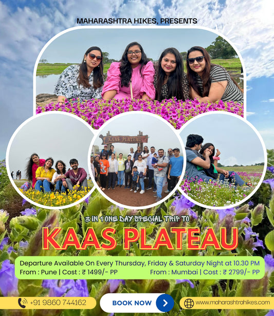 Kaas Plateau One Day Trip with Sajjangad & Historical Stepwell