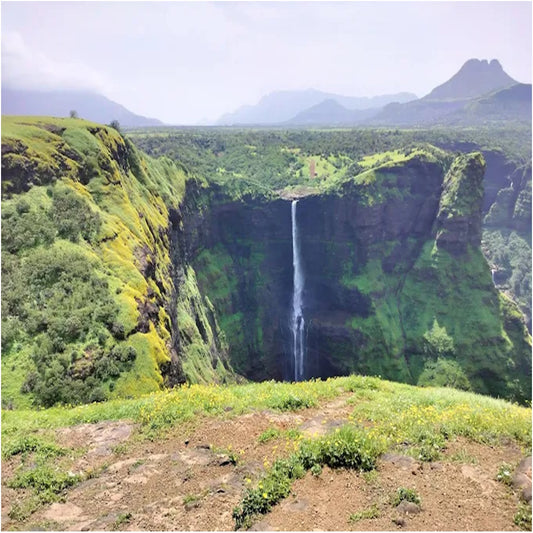 Aadrai Forest