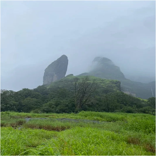 Bhairavgad